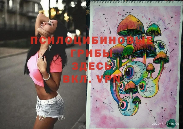 стаф Алексеевка